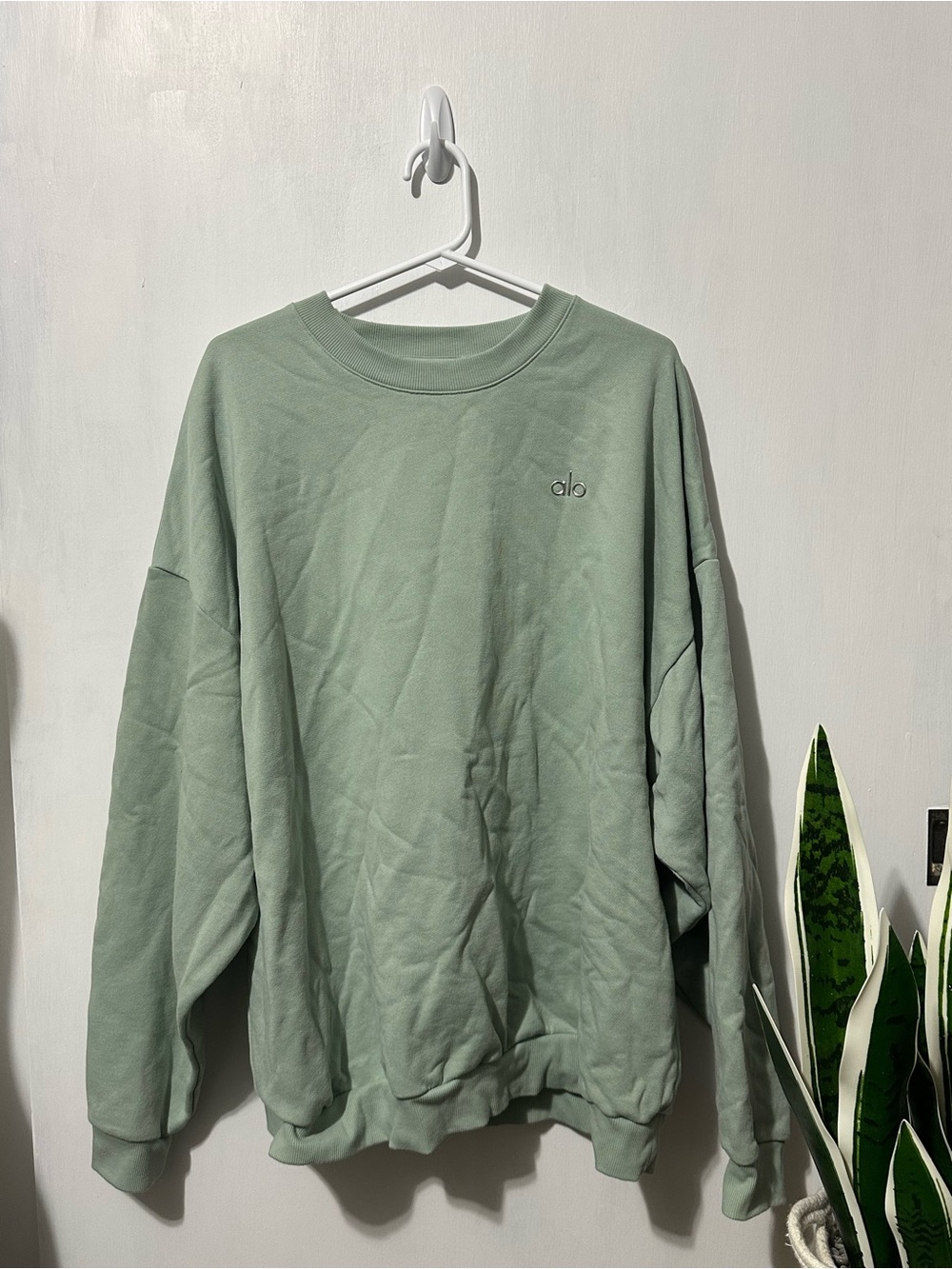 Alo Yoga crewneck sweatshirt - Ptp 29”
